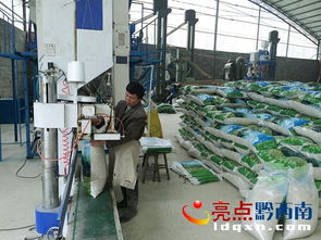 晴隆總投資800萬元琳隆薏仁米加工廠建成投產(chǎn)，優(yōu)化投資管理助力鄉(xiāng)村振興